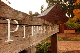 Pepper tree wines close to the cottage hunter valley